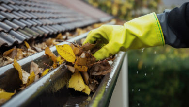 Why Gutter Cleaning Is Crucial and How to Do It Safely