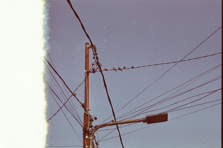 support line phone number