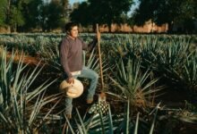 business growth best practices