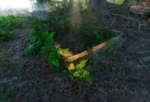 increase instagram followers effectively