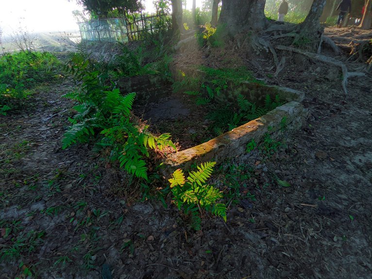 increase instagram followers effectively