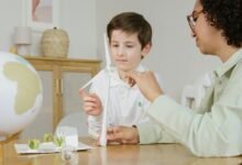 sustainable business model strategies